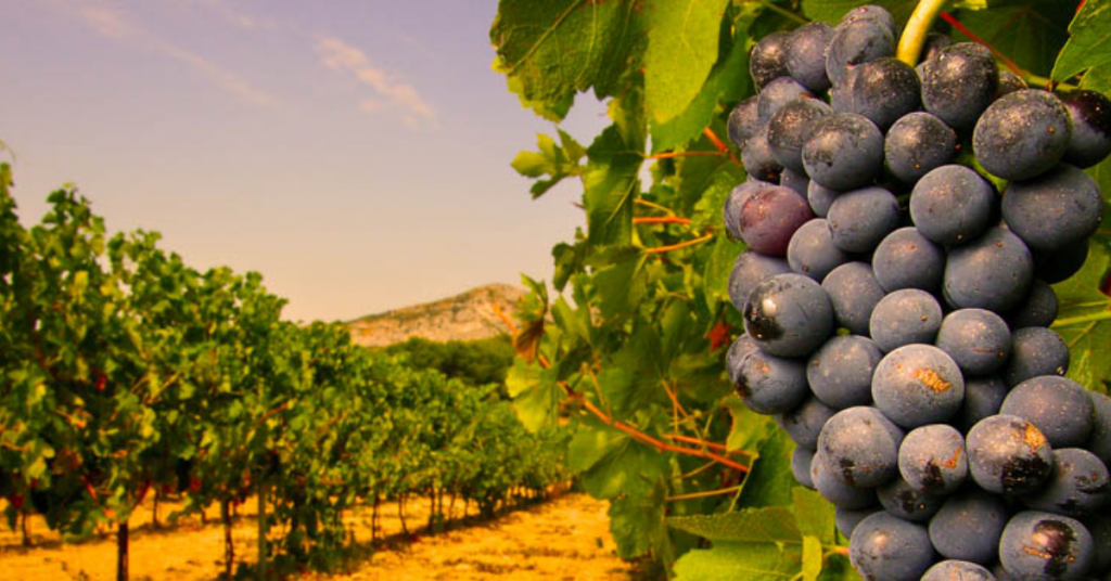 Restaurant L'Esparat